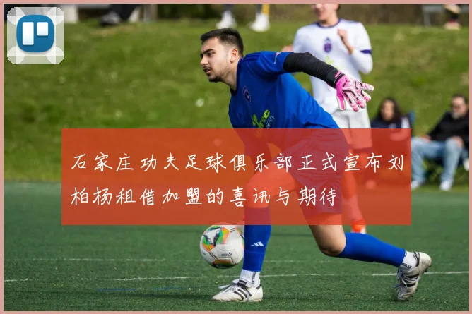 石家庄功夫足球俱乐部正式宣布刘柏杨租借加盟的喜讯与期待