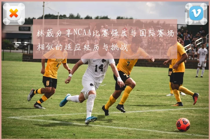林葳分享NCAA比赛强度与国际赛场相似的适应经历与挑战