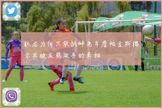 狄龙为何只敢挑衅老年詹帕金斯揭示其被灰熊放弃的真相